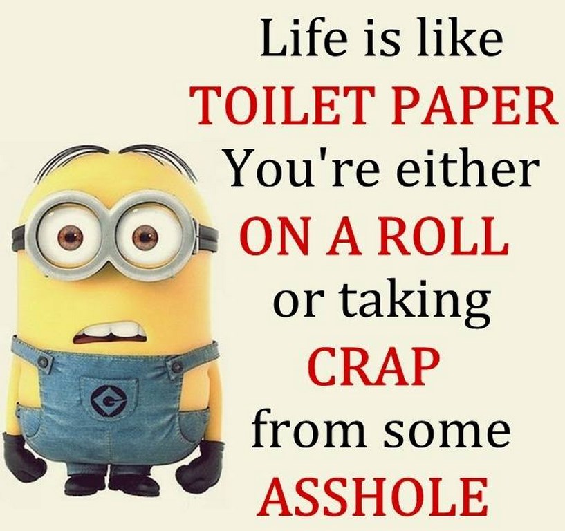 funny minion captions 033