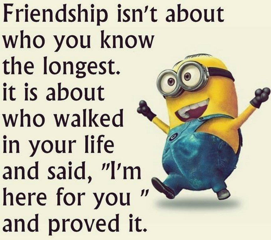 funny minion captions 247
