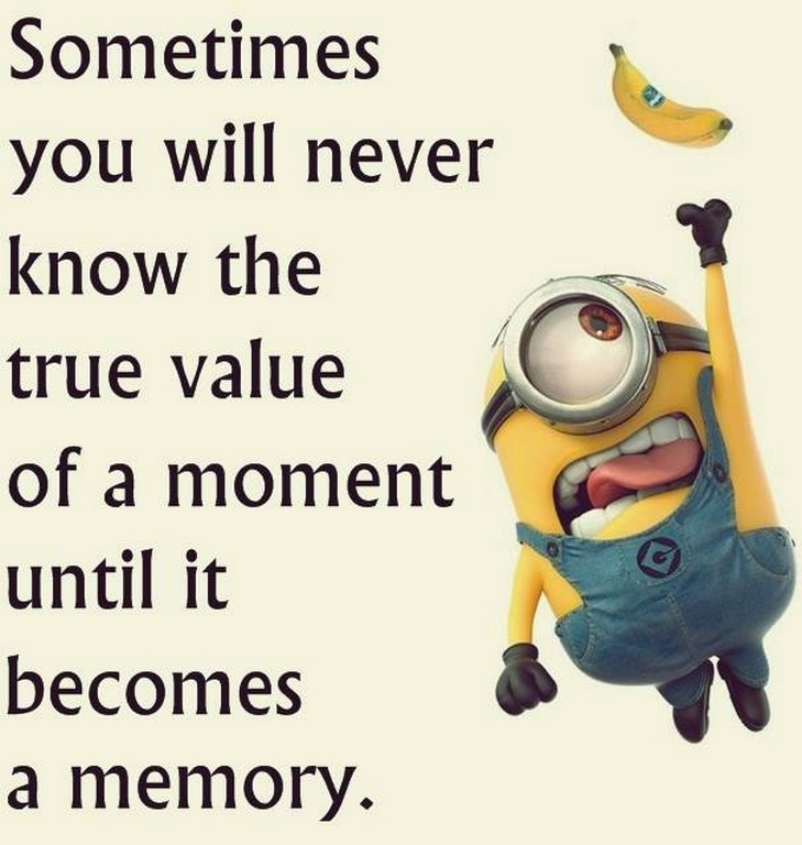 funny minion captions 248