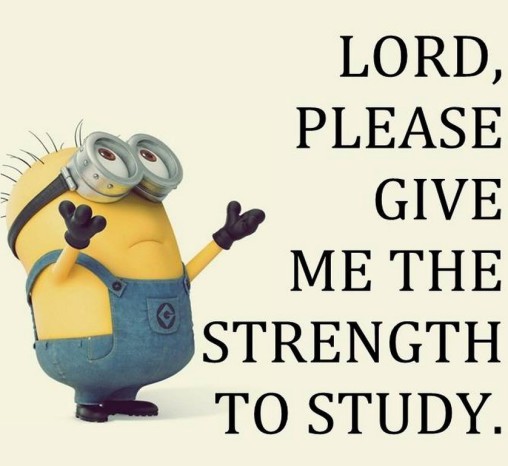 funny minion captions 296