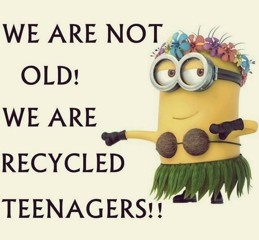 funny minion captions 299