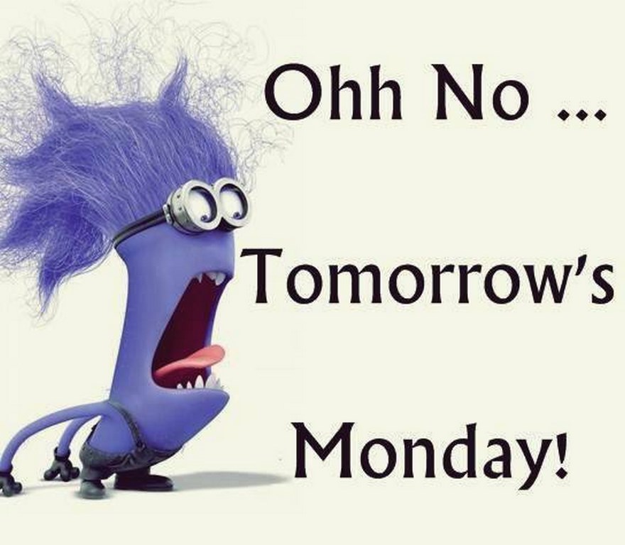 funny minion pictures 036