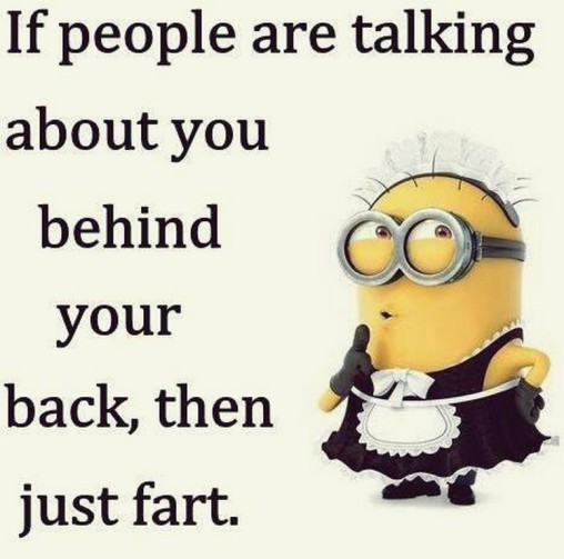 funny minion pictures 077