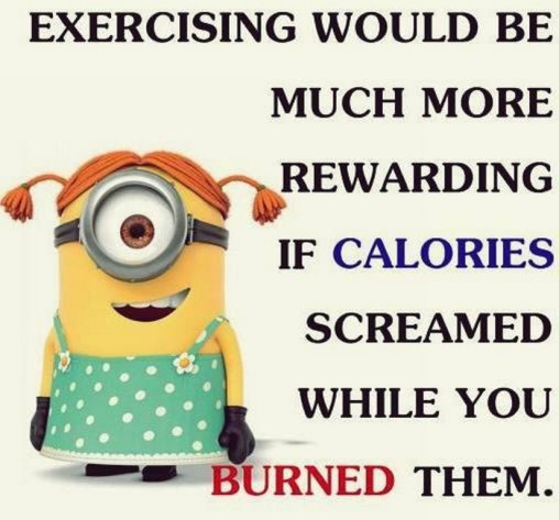 funny minion pictures 092