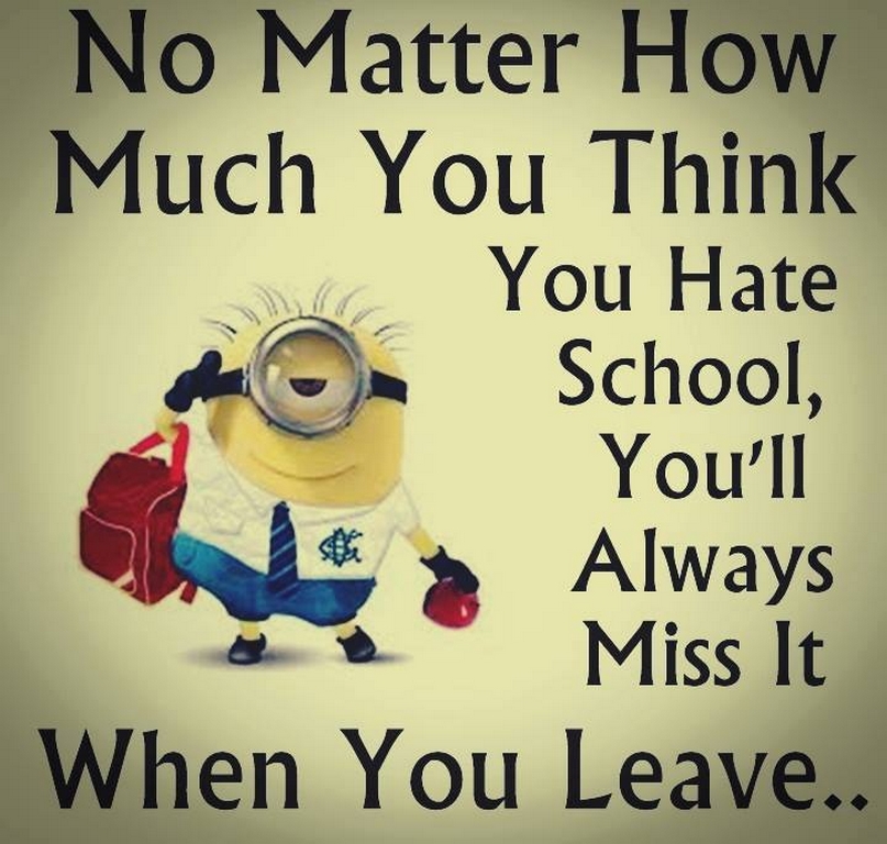 Funny Minions Funny 040