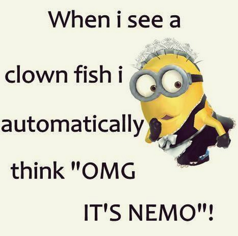 Funny Minions Funny 069