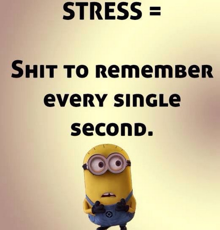 Funny Minions Funny 151_001