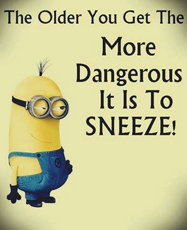 Funny Minions Funny 214