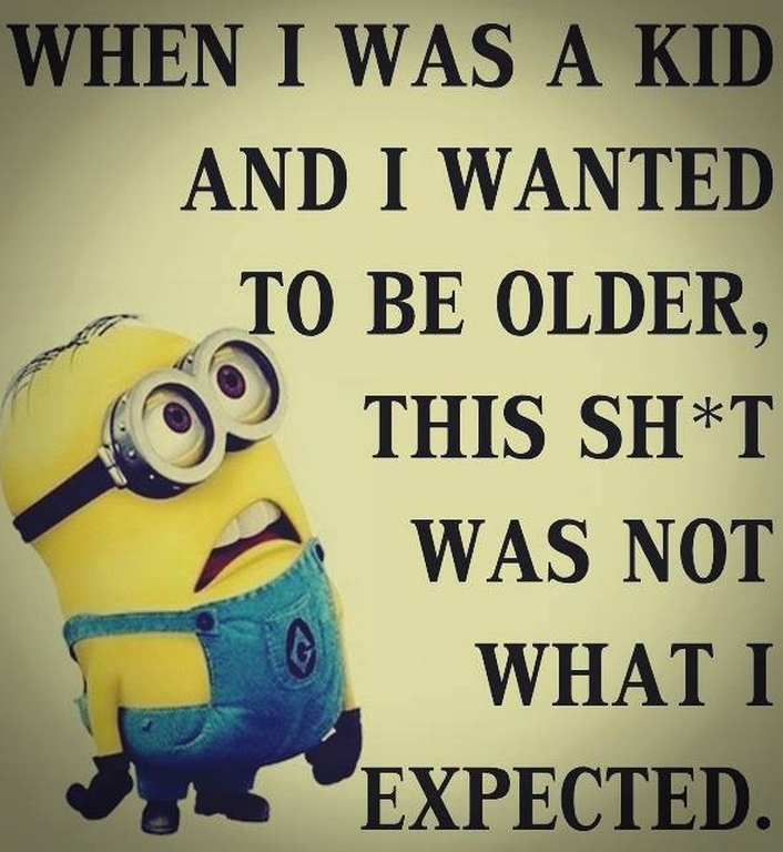 Funny Minions Funny 300