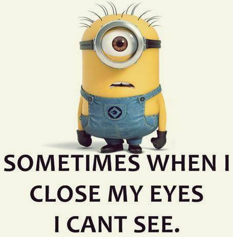 Funny Minions Funny 329
