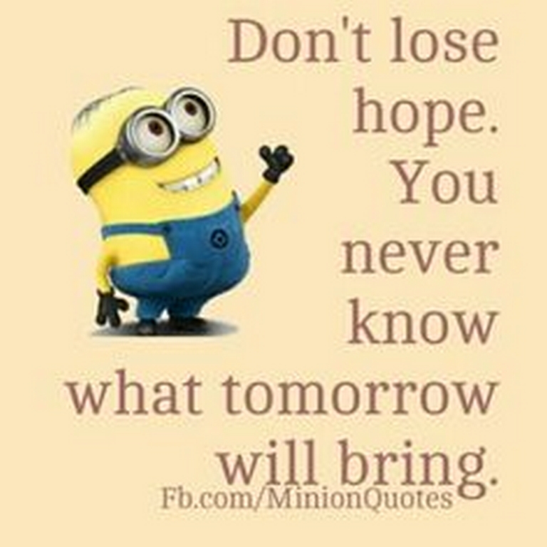 Funny Minions Funny 371