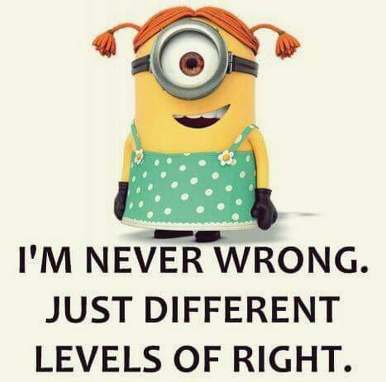 Funny Minions Funny 533