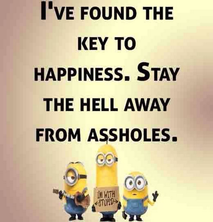 Funny Minions Minion funny 295