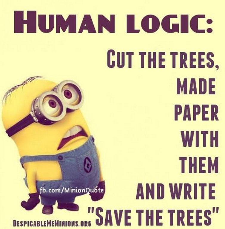 Funny Minions Quotes 087