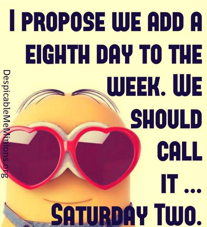 Funny Minions Quotes 123