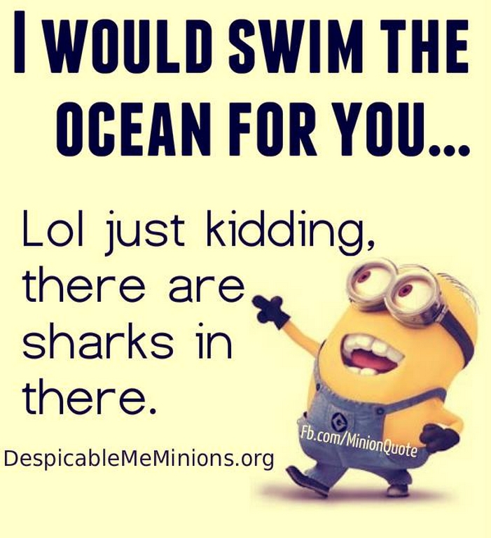Funny Minions Quotes 154