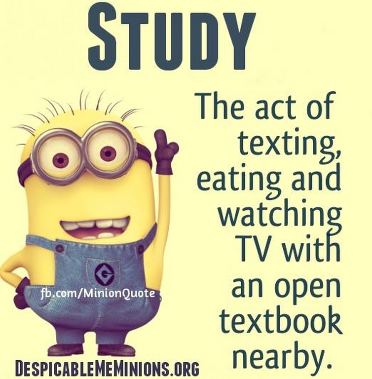 Funny Minions Quotes 190