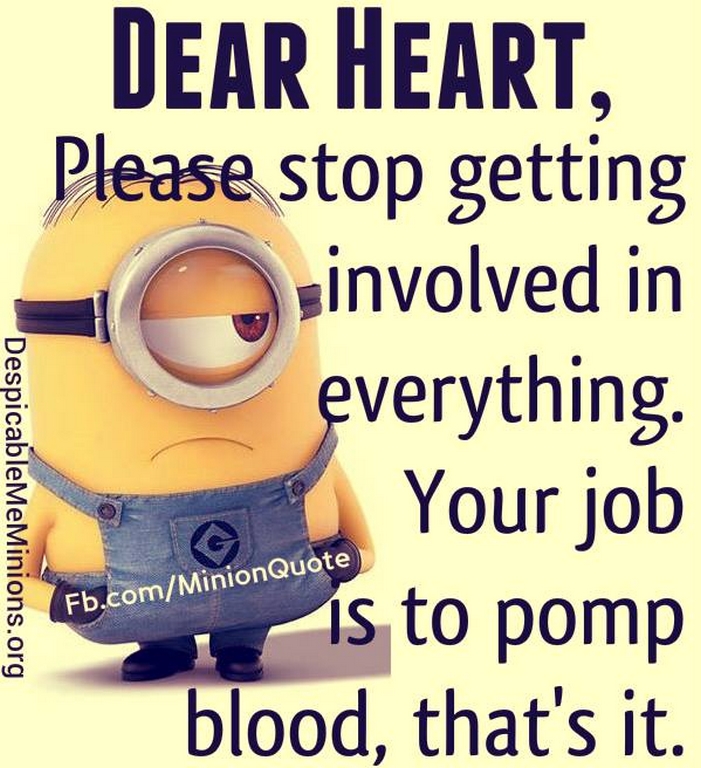 Funny Minions Quotes 259