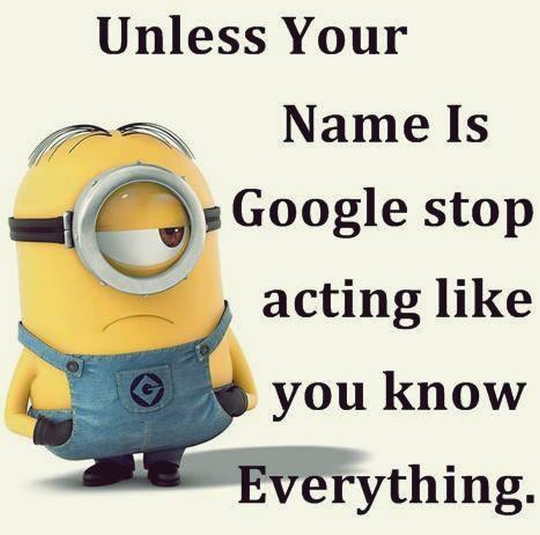 Funny Minions Quotes 319