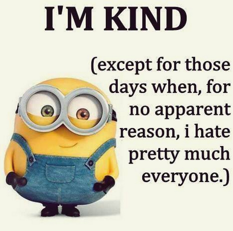 Funny Minions Quotes 321