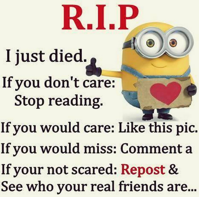 Funny Minions Quotes 369