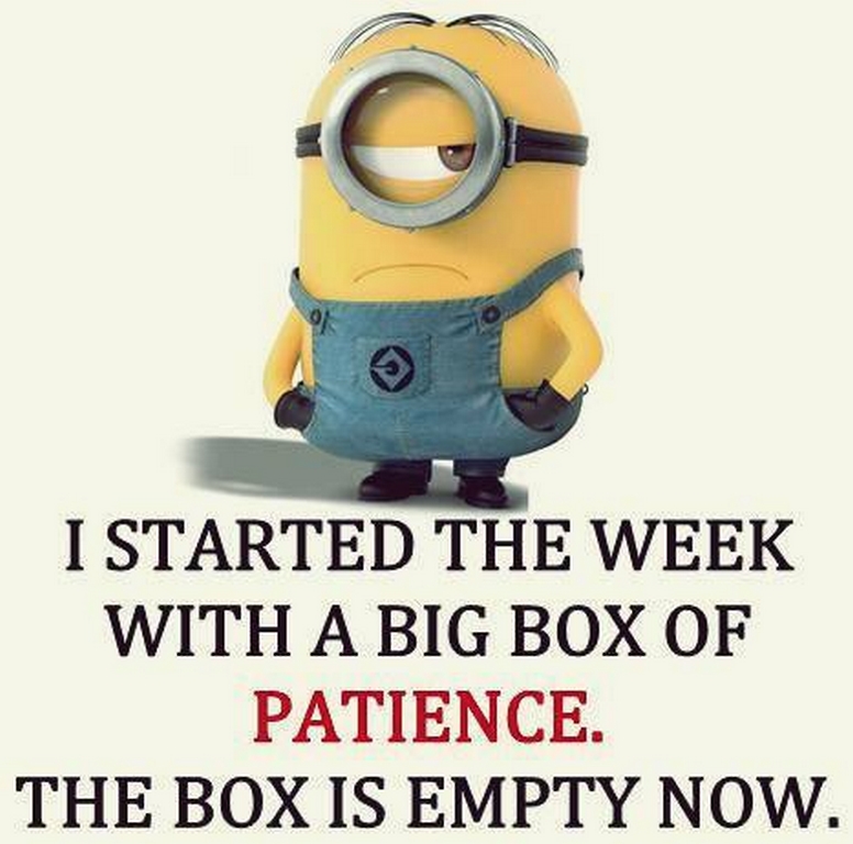 Funny Minions Quotes 469
