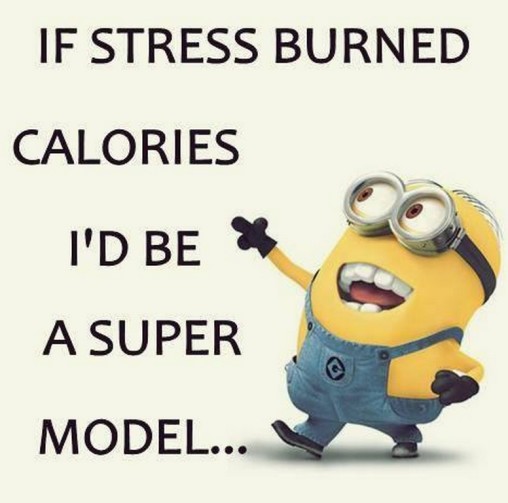 Funny Minions Quotes 477