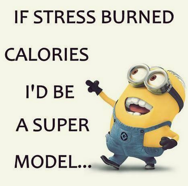 Funny Minions Quotes 477