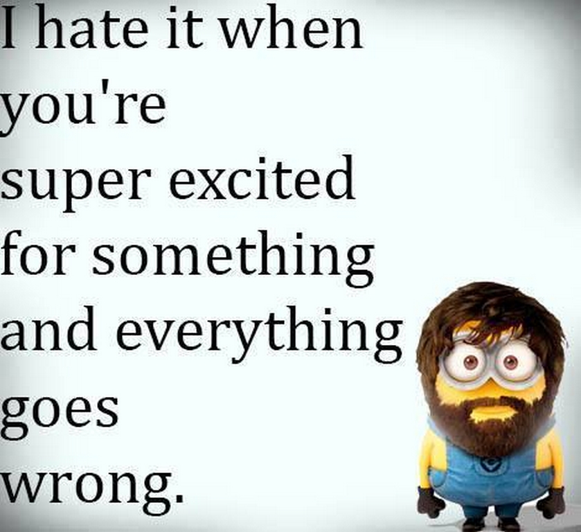 Funny Minions Quotes 487