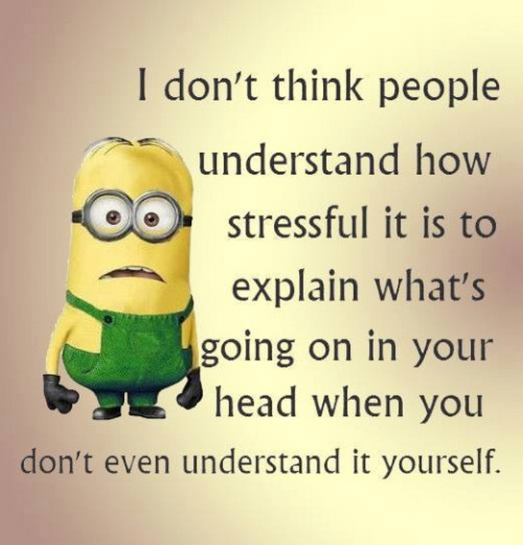 Funny minions quotes 013