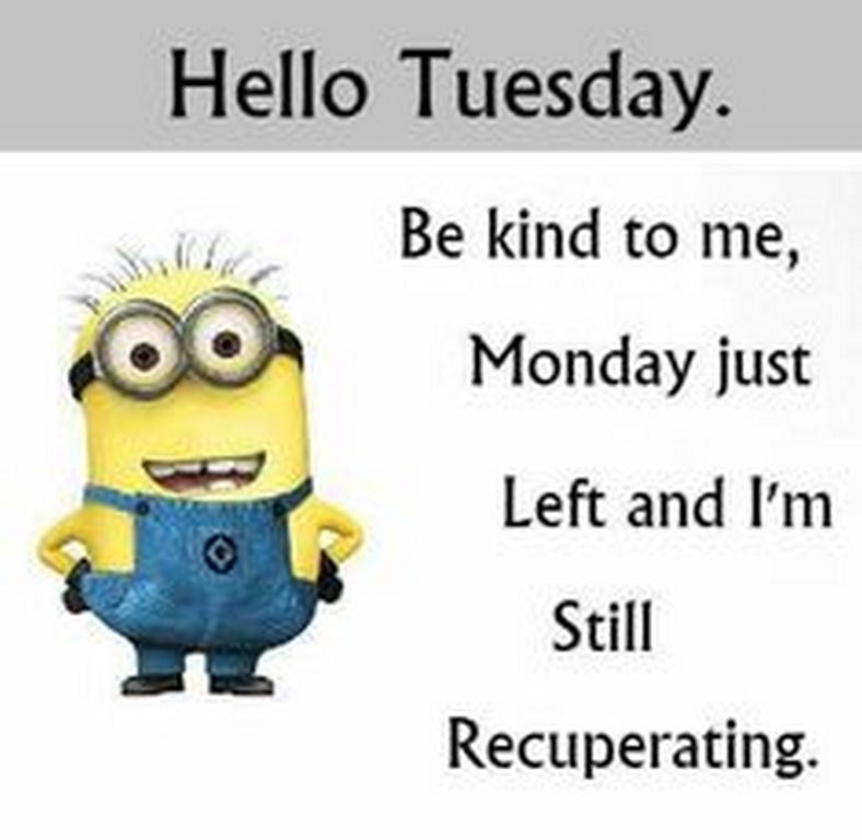 New Minions Quotes 233