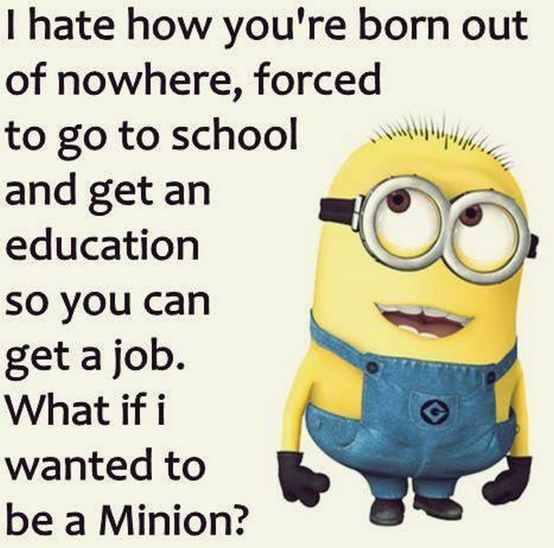 New Minions Quotes 411