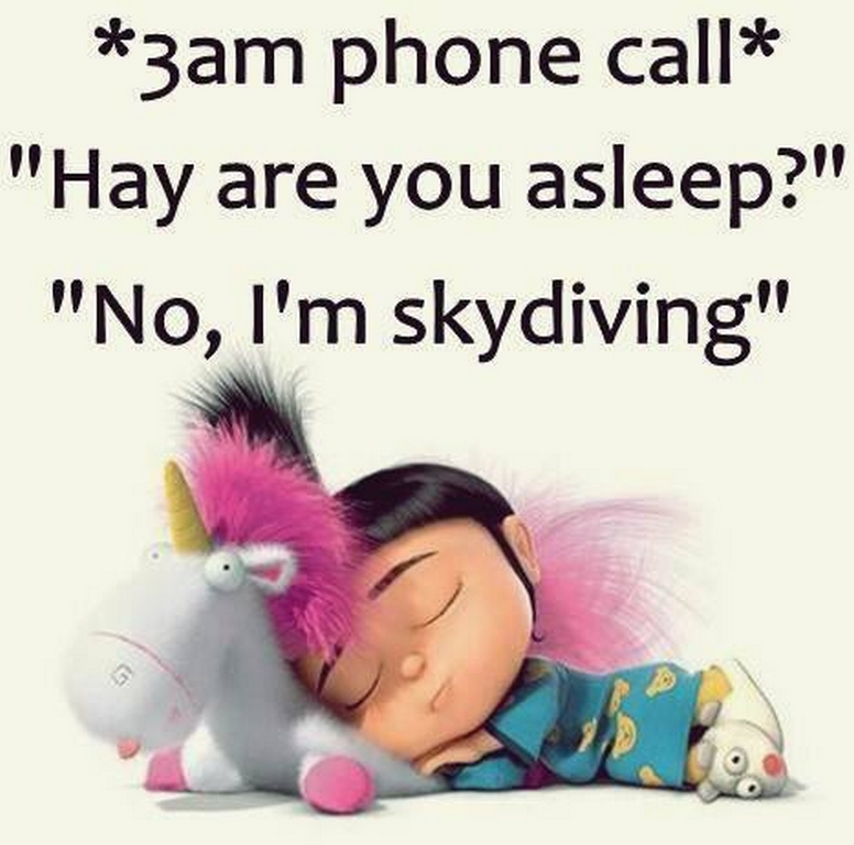 New Minions Quotes 490