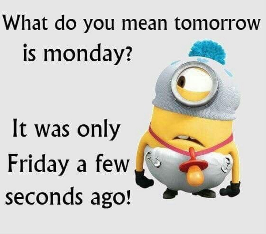 New Minions Quotes 644